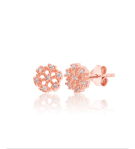 925 ayar Gümüş Kartanesi küpe (Rose)