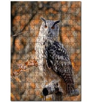 Cakapuzzle Gururlu Baykuş Görseli Puzzle Yapboz MDF (Ahşap) (1000 Parça)