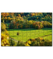 Cakapuzzle Ormanın Ortasındaki Yemyeşil Arazi  Ağaç Puzzle Yapboz MDF (Ahşap) (500 Parça)