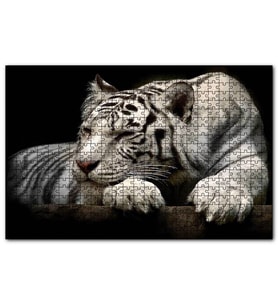 Cakapuzzle Uyuklayan Beyaz Kaplan Karanlık Arkaplan  Puzzle Yapboz MDF (Ahşap) (255 Parça)