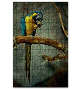Cakapuzzle Daldaki Sarı Mavi Macaw Papağanı Puzzle Yapboz MDF (Ahşap) (500 Parça)