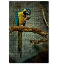 Cakapuzzle Daldaki Sarı Mavi Macaw Papağanı Puzzle Yapboz MDF (Ahşap) (500 Parça)