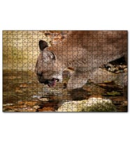 Cakapuzzle Ormandaki Puma Derede Su İçerken Görseli  Puzzle Yapboz MDF (Ahşap) (1000 Parça)