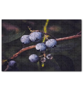 Cakapuzzle Dalda Yabanmersini Meyveleri Puzzle Yapboz MDF (Ahşap) (255 Parça)