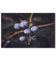 Cakapuzzle Dalda Yabanmersini Meyveleri Puzzle Yapboz MDF (Ahşap) (255 Parça)