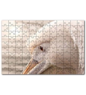 Cakapuzzle Pelikan Yakın Çekim Flu Arkaplan Puzzle Yapboz MDF (Ahşap) (255 Parça)