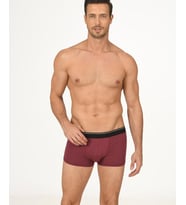 Erkek Hendrix %45 Modal %45 Pamuk Kumaştan Rahat Bel Lastikli Boxer-735 (Bordo)