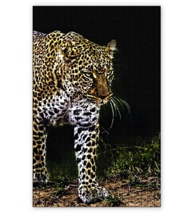 Cakapuzzle Doğadaki Leopar Puzzle Yapboz MDF (Ahşap) (500 Parça)