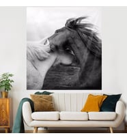 Sarılan Atlar Leke Tutmaz Kadife Dokulu Kumaş Duvar Örtüsü Duvar Halısı Tapestry (Siyah)