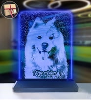 Köpeklere Özel Kişisel Resimli Dikey Dikdörtgen 3d Led Gece Lambası (Mavi)