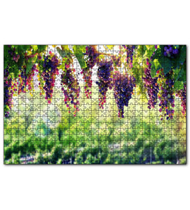Cakapuzzle Asma Üzümü Kırmızı Üzüm Görseli  Puzzle Yapboz MDF (Ahşap) (500 Parça)