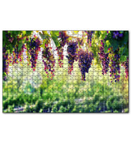 Cakapuzzle Asma Üzümü Kırmızı Üzüm Görseli  Puzzle Yapboz MDF (Ahşap) (500 Parça)
