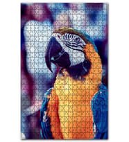 Cakapuzzle Mavi Sarı Beyaz Papağan Puzzle Yapboz MDF (Ahşap) (255 Parça)