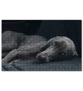 Cakapuzzle Siyah Doghound Siyah Zemin Arkaplan Puzzle Yapboz MDF (Ahşap) (500 Parça)