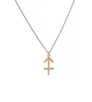 Yay Burcu Gümüş Unisex Hediyelik Kolye (Rose)