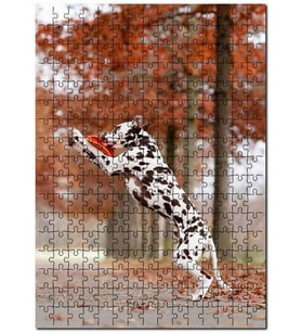 Cakapuzzle Dalmaçyalı Köpek Oyun Görseli Puzzle Yapboz MDF (Ahşap) (1000 Parça)