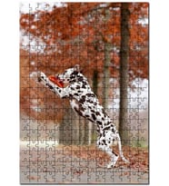 Cakapuzzle Dalmaçyalı Köpek Oyun Görseli Puzzle Yapboz MDF (Ahşap) (1000 Parça)