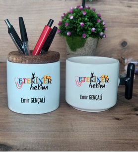 Veteriner Hekim Hediye Sepeti Kupa Bardak T Kulplu, Kalemlik Hediyeleri Veteriner Hekime Hediye (Model 6)