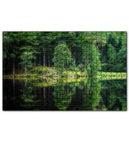 Cakapuzzle Su ve Yeşilin İnanılmaz Buluşması Puzzle Yapboz MDF (Ahşap) (500 Parça)