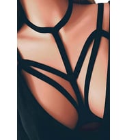 Şık Harness