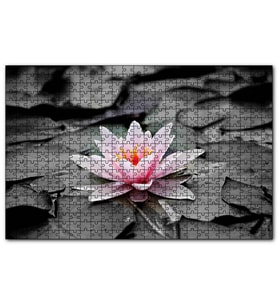 Cakapuzzle Siyah Beyaz Lotus Yaprakları ve Pembe Nilüfer Çiçeği  Puzzle Yapboz MDF (Ahşap) (1000 Parça)