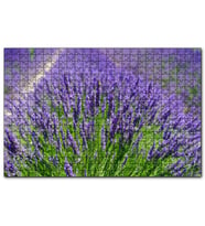 Cakapuzzle Lavanta Tarlasında Lavantalar  Puzzle Yapboz MDF (Ahşap) (255 Parça)