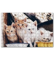Cakapuzzle Eski Pencerede Sarı ve Beyaz Yavru Kediler Puzzle Yapboz MDF (Ahşap) (255 Parça)