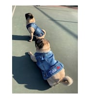 Salya Store Tickle Me; Jeans Yazlık Köpek Kot Ceket Küçük İrklar Tck-103 (Koyu Mavi)