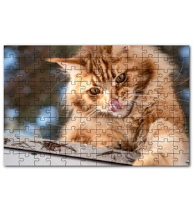 Cakapuzzle Yalanan Sarı Sevimli Kedi Puzzle Yapboz MDF (Ahşap) (500 Parça)