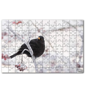 Cakapuzzle Karlı Dalların Üzerindeki Karatavuk Puzzle Yapboz MDF (Ahşap) (1000 Parça)
