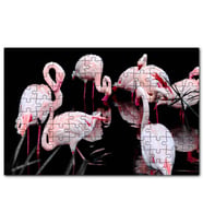 Cakapuzzle Flamigolar Karanlık Göl Arkaplan Puzzle Yapboz MDF (Ahşap) (255 Parça)