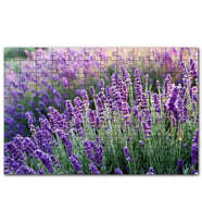 Cakapuzzle Lavanta Tarlası Yakın Çekim Detay Puzzle Yapboz MDF (Ahşap) (255 Parça)