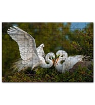 Cakapuzzle Birbirine Kur Yapan Ak Balıkçıl Kuşları Puzzle Yapboz MDF (Ahşap) (500 Parça)