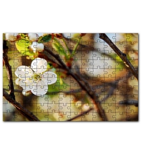 Cakapuzzle Beyaz Çiçek Arkaplanda Dallar Flu Yapraklar Puzzle Yapboz MDF (Ahşap) (255 Parça)