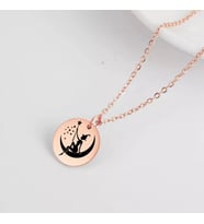 Kişiye Özel 925 Ayar Gümüş Büyücü Disk Kolye (Rose)