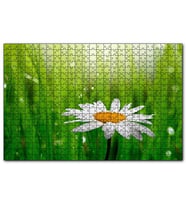 Cakapuzzle Yeşil Çimenler Papatya ve Su Damlaları  Puzzle Yapboz MDF (Ahşap) (1000 Parça)