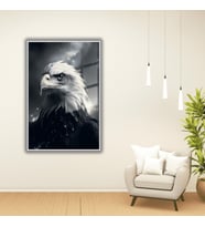 Metal Çerçeveli Temperli Cam Tablo  Koyu Renk Kartal (Gümüş)