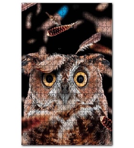 Cakapuzzle Şaşkın Baykuş Ve Uçuşan Tüyleri Puzzle Yapboz MDF (Ahşap) (1000 Parça)