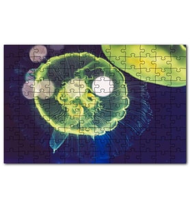 Cakapuzzle Muhteşem Güzellikte Mavi Yeşil Denizanası Puzzle Yapboz MDF (Ahşap) (255 Parça)