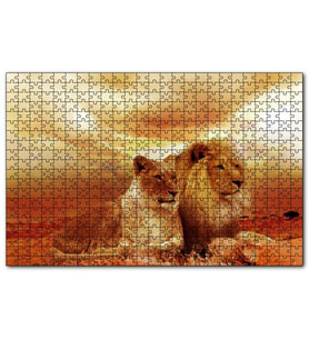 Cakapuzzle Günbatımında Aslan Çifti  Puzzle Yapboz MDF (Ahşap) (255 Parça)