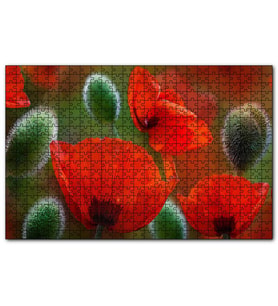 Cakapuzzle Kırmızı Gelincikler Yakın Çekim  Puzzle Yapboz MDF (Ahşap) (500 Parça)