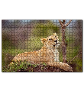 Cakapuzzle Dişi Genç Aslan  Puzzle Yapboz MDF (Ahşap) (500 Parça)