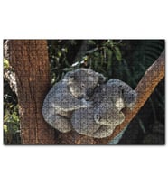 Cakapuzzle Dalda Koala Kardeşliği  Puzzle Yapboz MDF (Ahşap) (255 Parça)