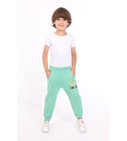 Toontoy Erkek Çocuk İki Yanı Cep Detaylı Nakışlı Eşofman Alt (Yeşil)