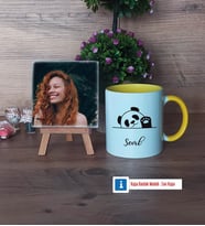 Sevimli Panda Fotoğraflı Dekoratif Taş, Kupa Bardak Beyaz Hediye (Model 7)