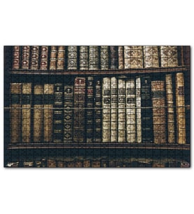 Cakapuzzle Kütüphane Rafında Ciltli Kitaplar  Puzzle Yapboz MDF (Ahşap) (255 Parça)