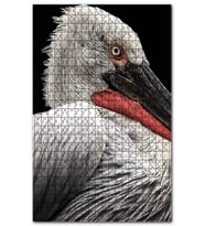 Cakapuzzle Ak Pelikan Yakın Çekim Puzzle Yapboz MDF (Ahşap) (500 Parça)