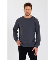 Siyah Bisiklet Yaka Etiket Detaylı İçi Pamuklu Erkek Sweatshirt (Antrasit)
