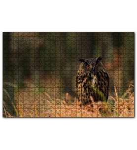 Cakapuzzle Çayırdaki Kırmızı Gözlü Baykuş  Puzzle Yapboz MDF (Ahşap) (1000 Parça)