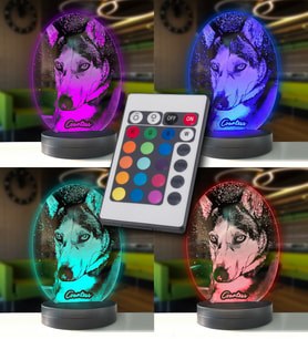 Köpeklere Özel Kişisel Oval 3d Modelli Gece Lambası (Karışık)